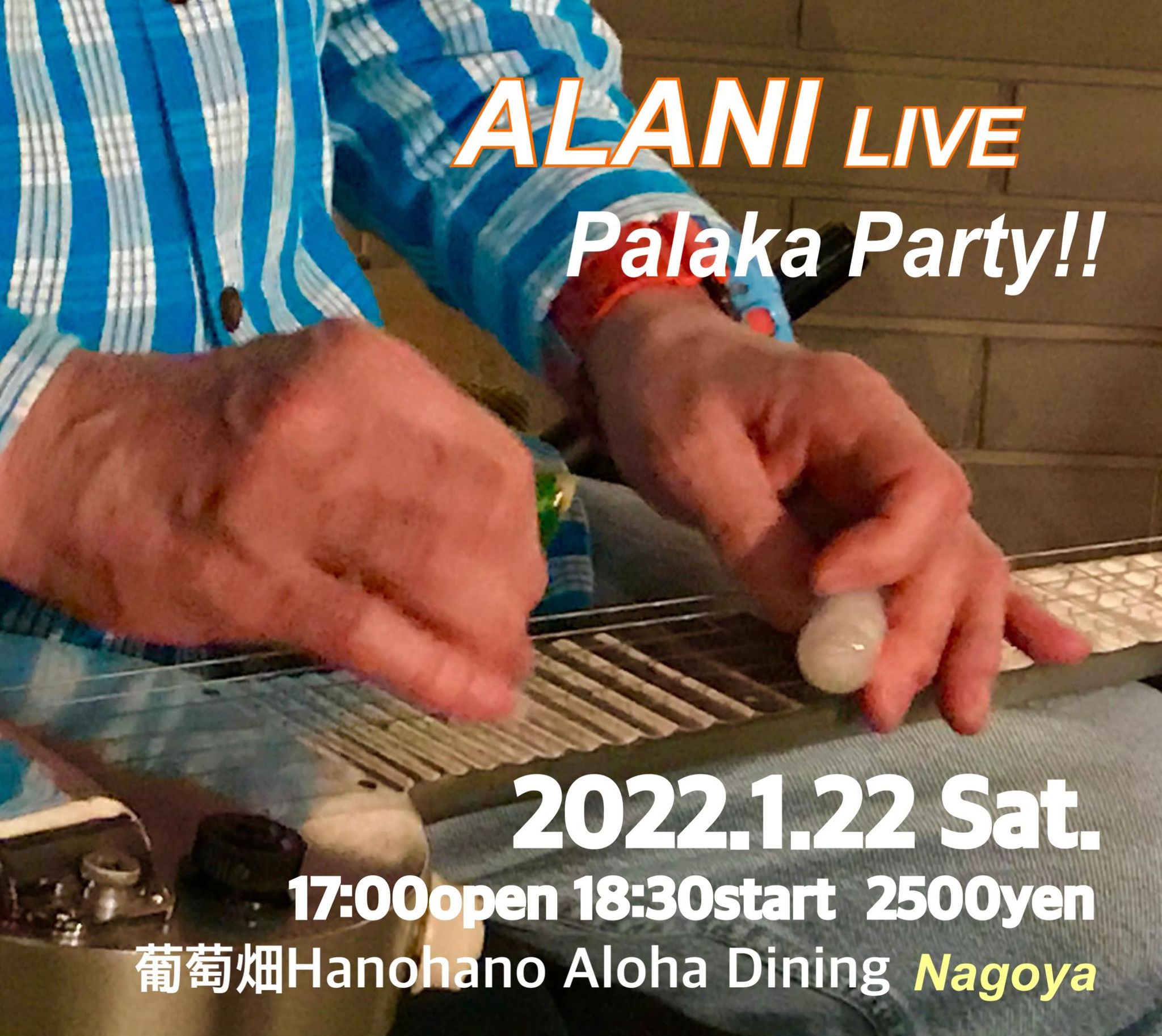 愛知 第25回 Palaka Party in 名古屋 @ 葡萄畑 Hanohano Aloha Dining | 名古屋市 | 愛知県 | 日本